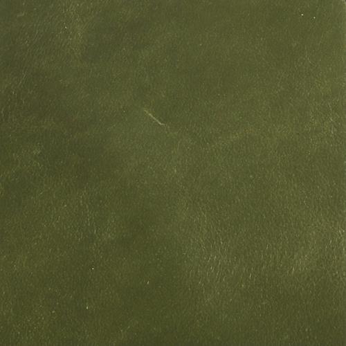 Premium Leather-9943 Basil – Leather Option A swatch