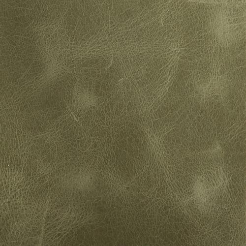 Premium Leather-9933 Distressed Thyme – Leather Option A swatch