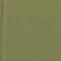 Cala Chair finish swatch – Olive
