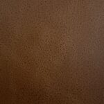 Premium Leather-9973 Acorn – Leather Option A swatch