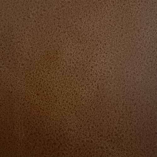 Premium Leather-9973 Acorn – Leather Option A swatch