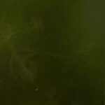 Premium Leather-9967 Distressed Cypress – Leather Option A swatch