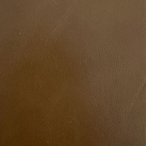 Premium Leather-9981 Ginger – Leather Option A swatch
