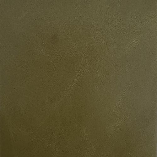 Premium Leather-9952 Lichen – Leather Option A swatch